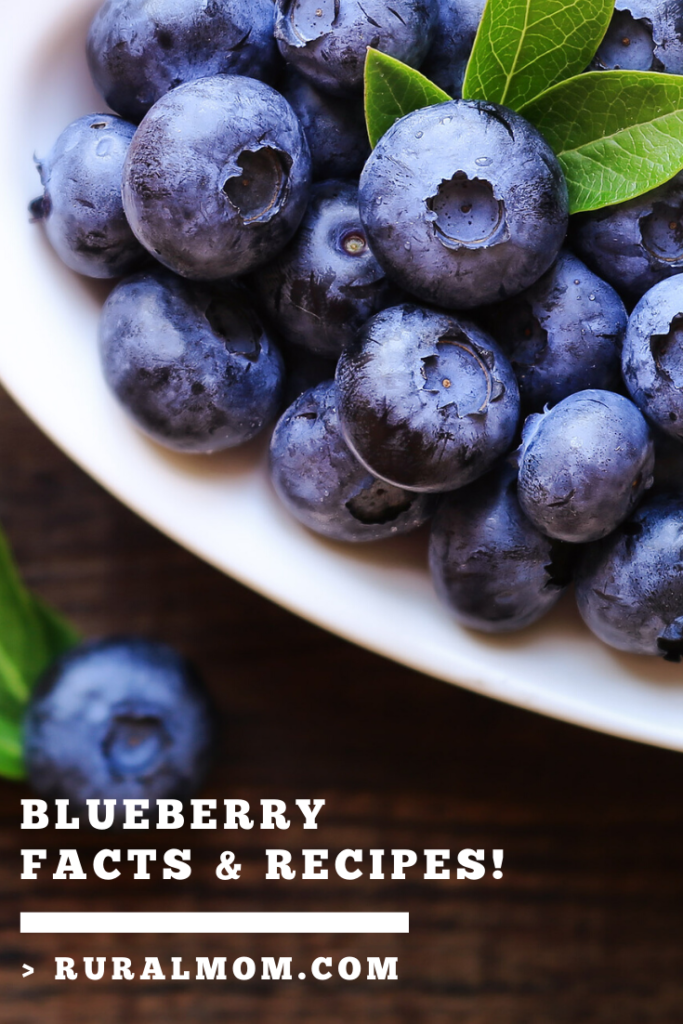 Immune Boosting Blueberry (Facts and Recipes!) 