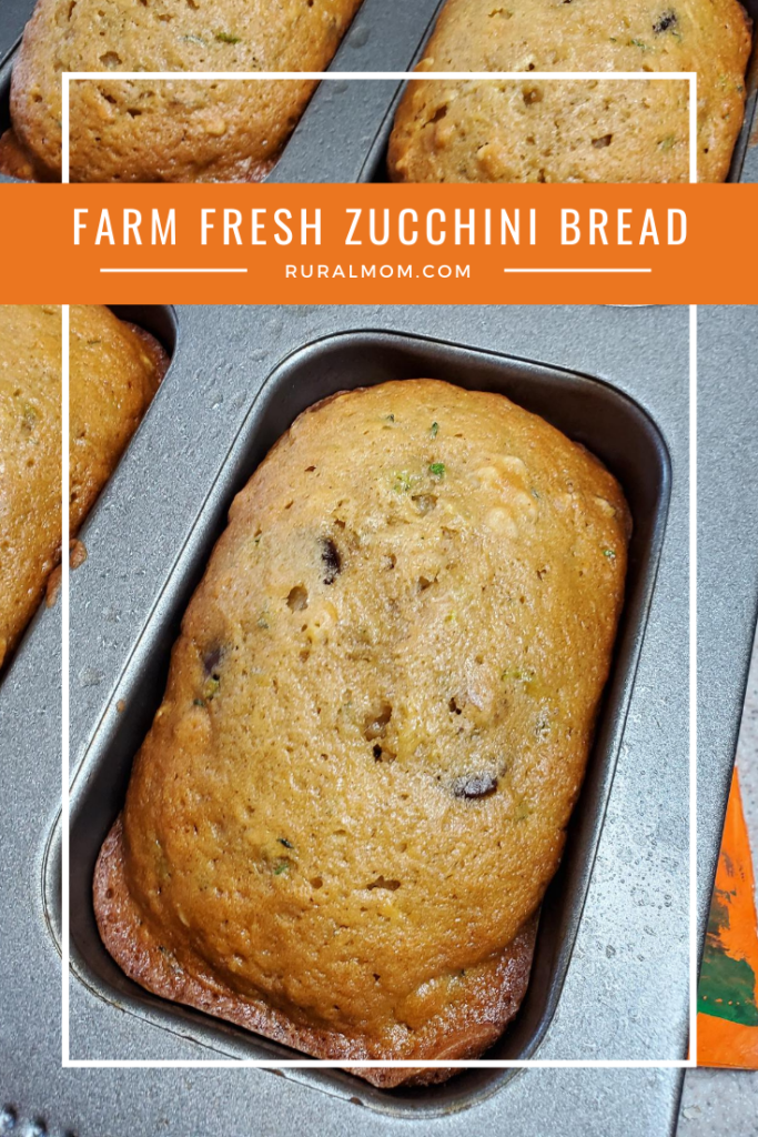 Zucchini Bread Just Like Grandma Used To Make