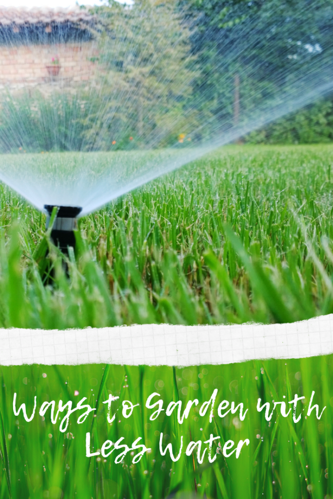 Ways to Garden with Less Water