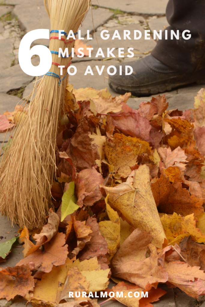 6 More Fall Gardening Mistakes to Avoid