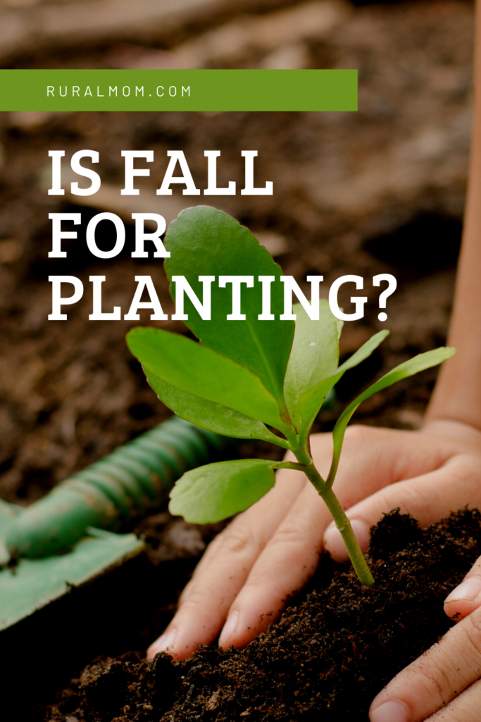 Is Fall for Planting? 