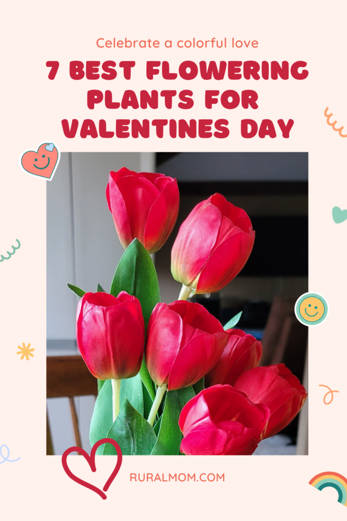 7 Best Flowering Plants for Valentines Day