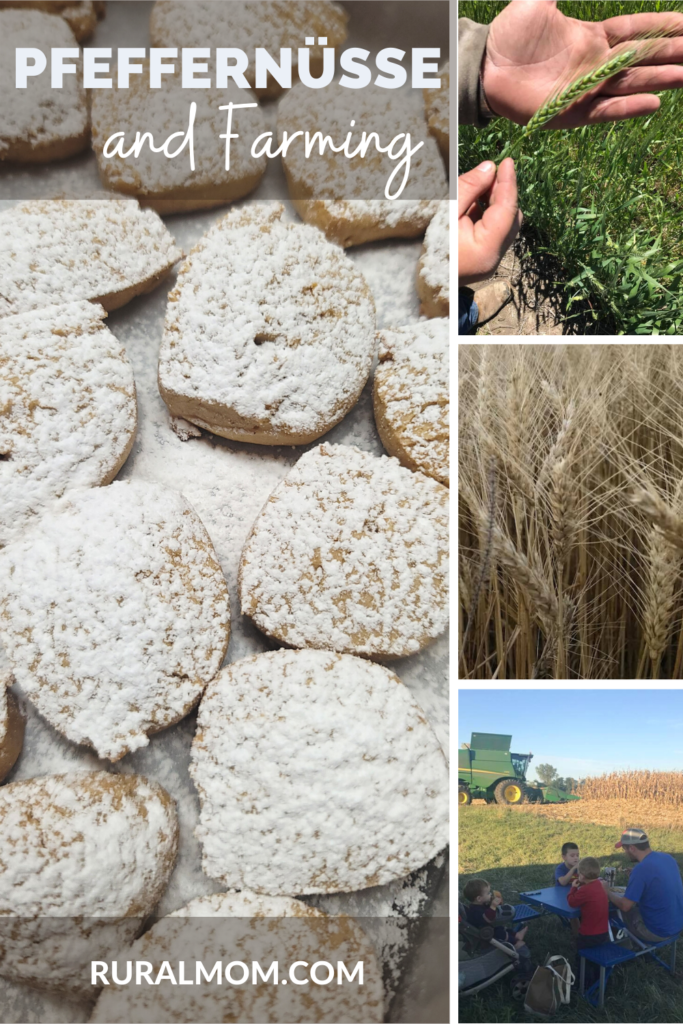 Farming and Pfeffernüsse (Recipe!) #FarmFoodTour