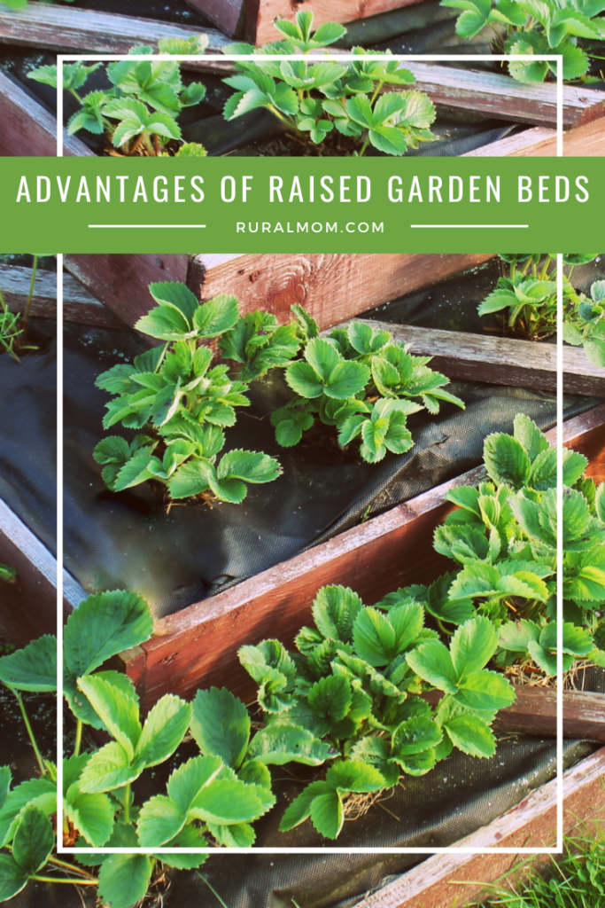 What are the advantages of raised garden beds?