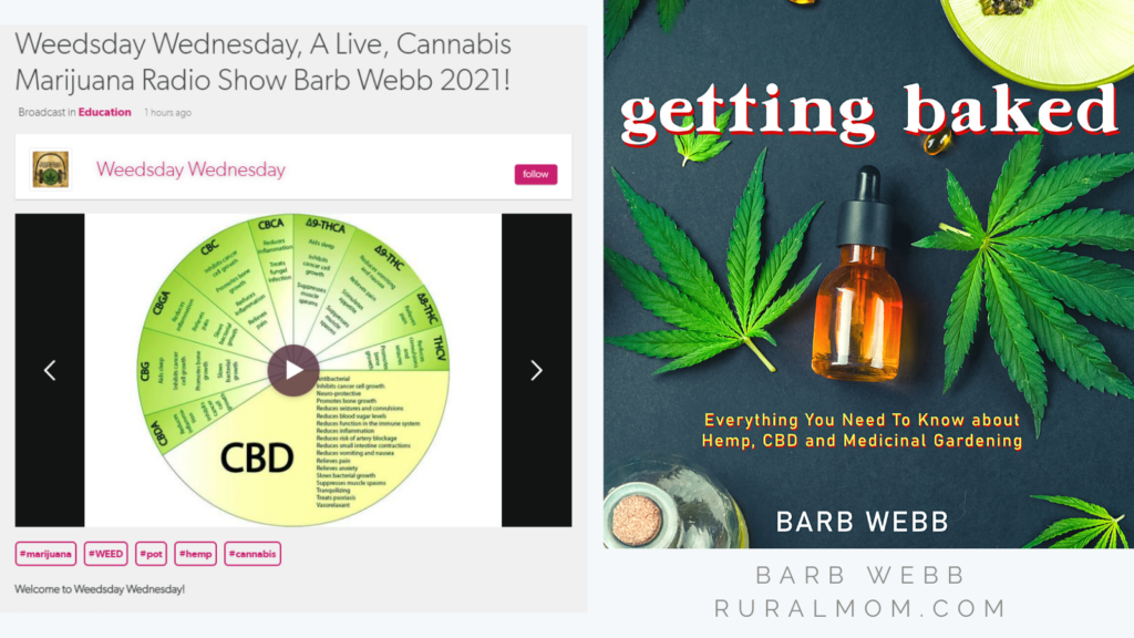 Weedsday Wednesday - Current CBD and Cannabis Trends