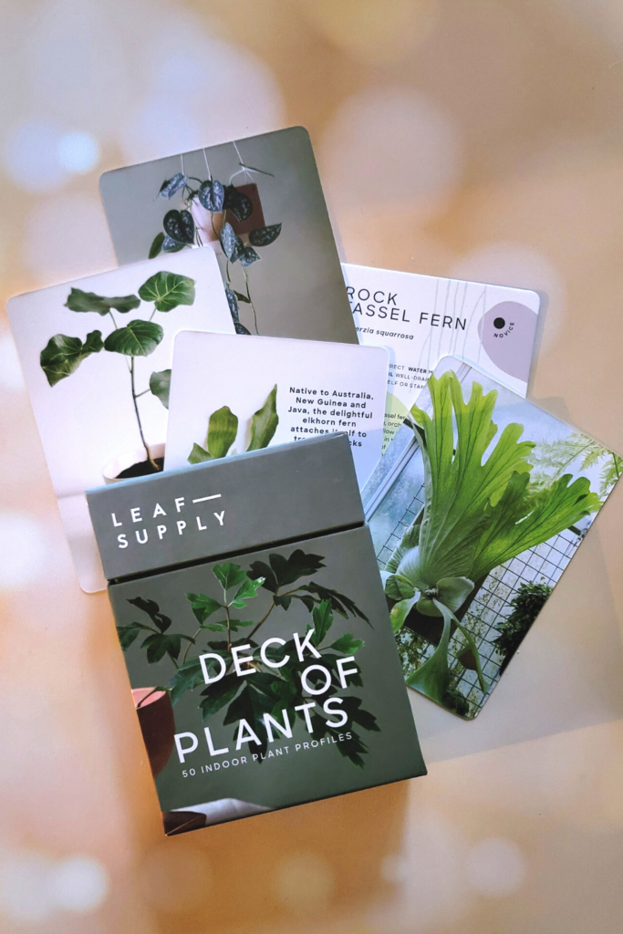 THE LEAF SUPPLY DECK OF PLANTS: HOW TO KEEP HAPPY HOUSEPLANTS