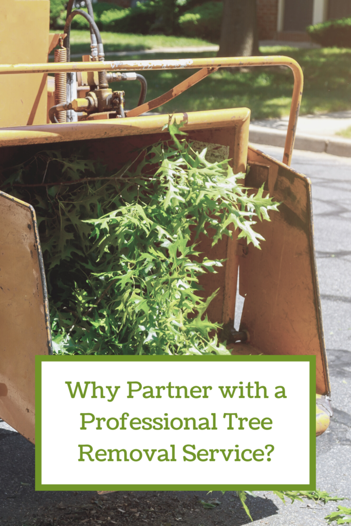 Why Partner with a Professional Tree Removal Service?