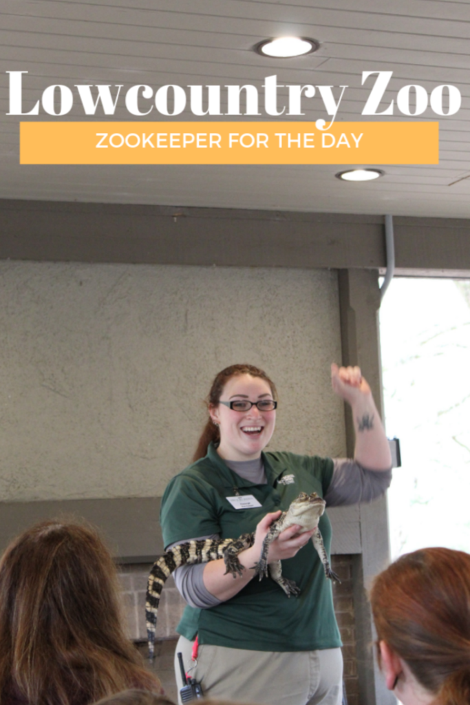 Zookeeper for the day at Brookgreen Gardens