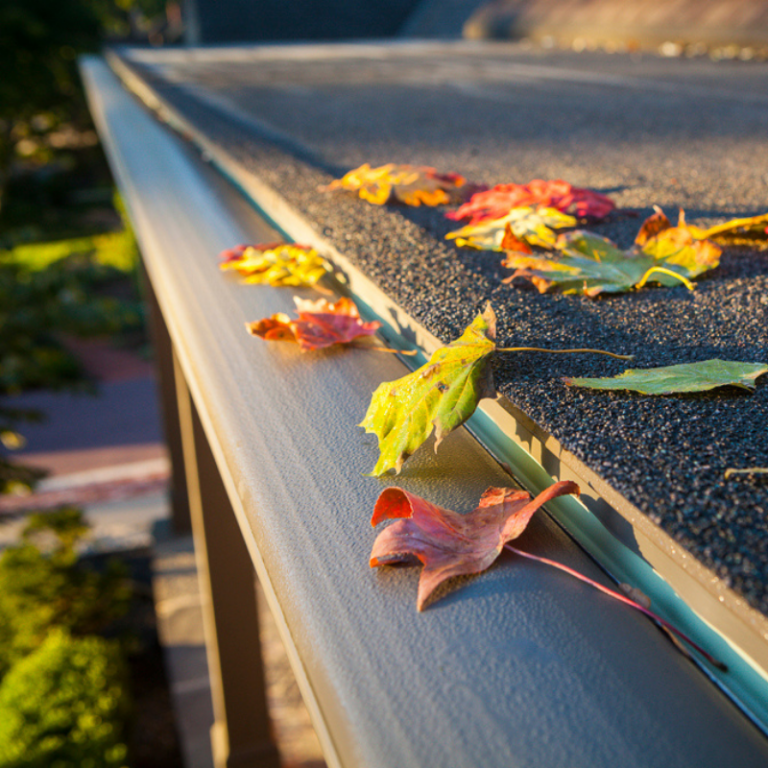 KGuard LeafFree Gutter System Advantages Rural Mom