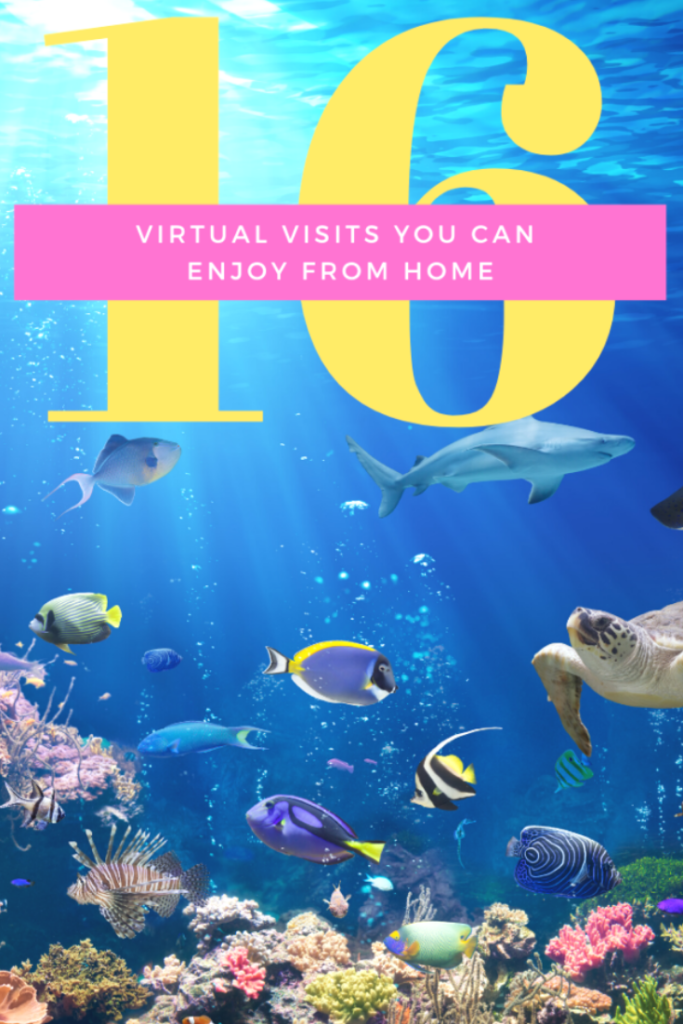 16 Virtual Visits You Can Enjoy From Home