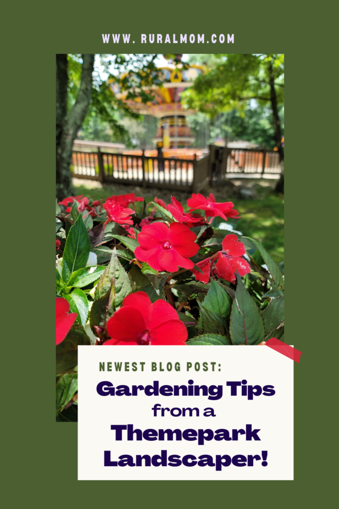 Gardening Tips from a Theme Park Landscaper