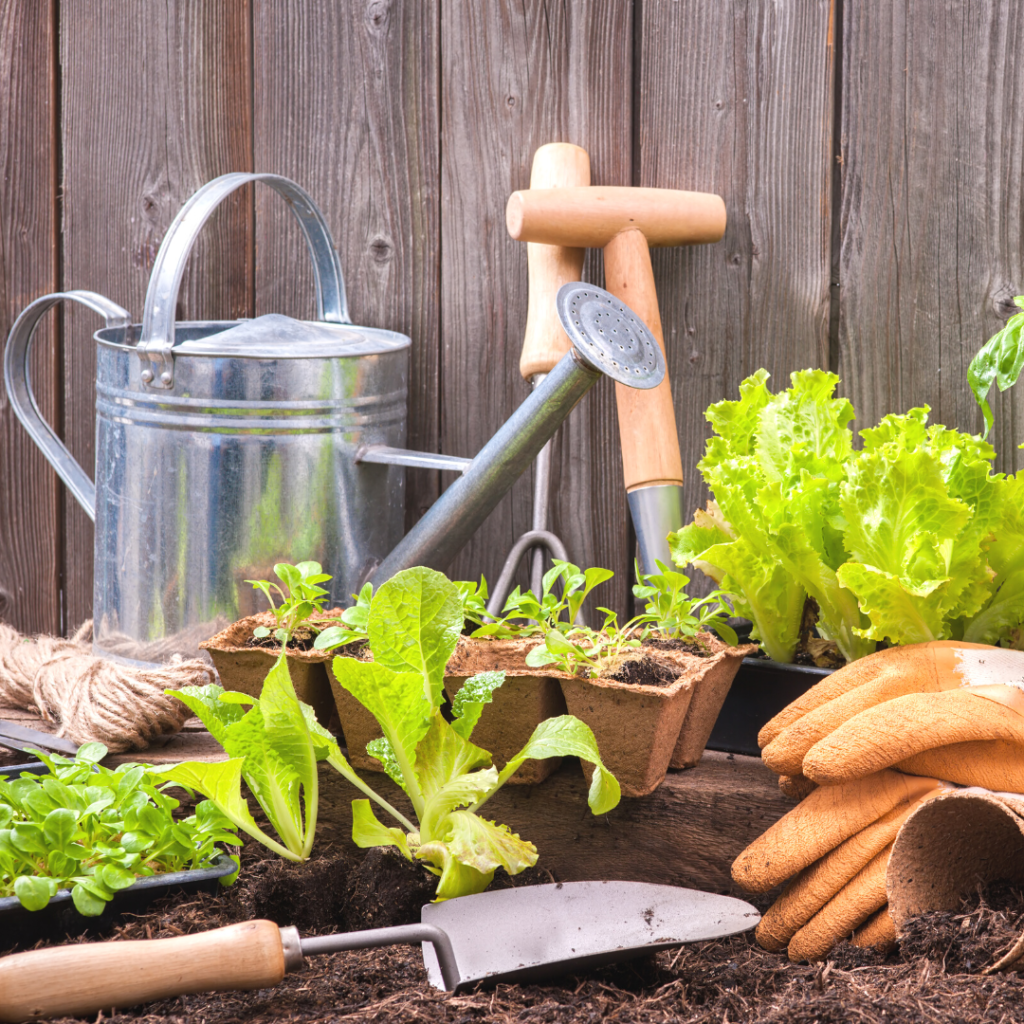 Make Gardening Your Hobby With These Simple Steps