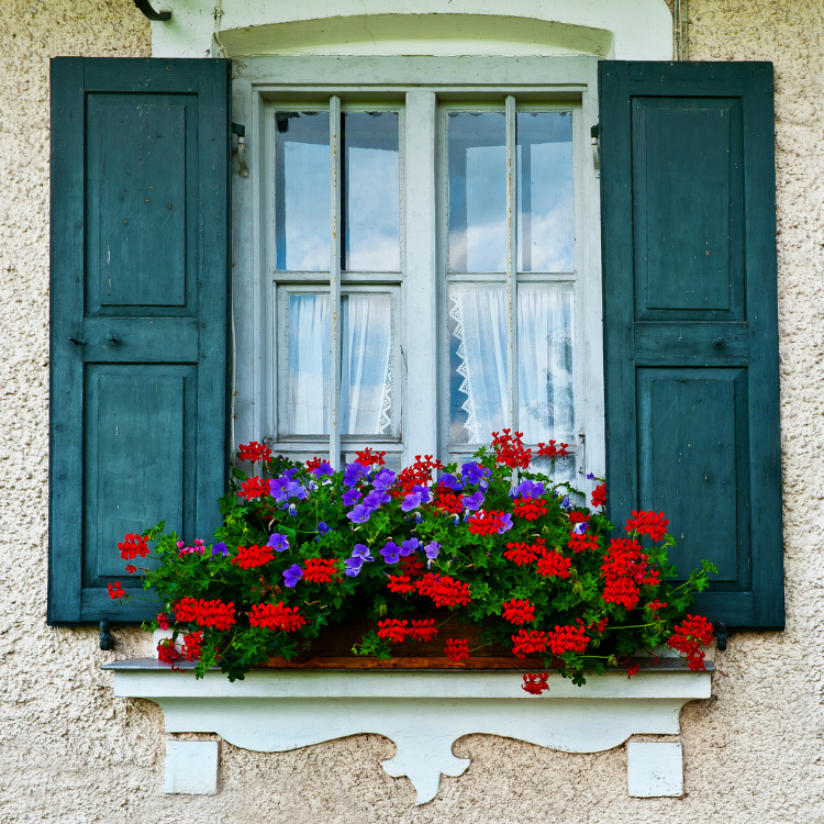 6 Creative Ideas to Customize Your Windows and Make Them Unique