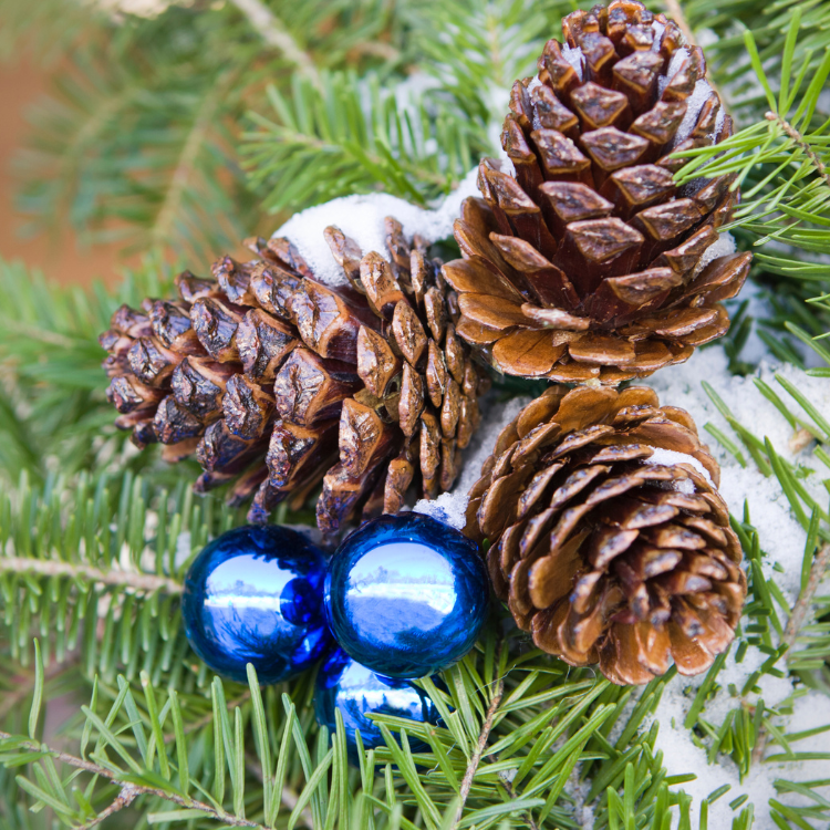 Pine cone Christmas Tree Ornaments jewel tone pine cone craft