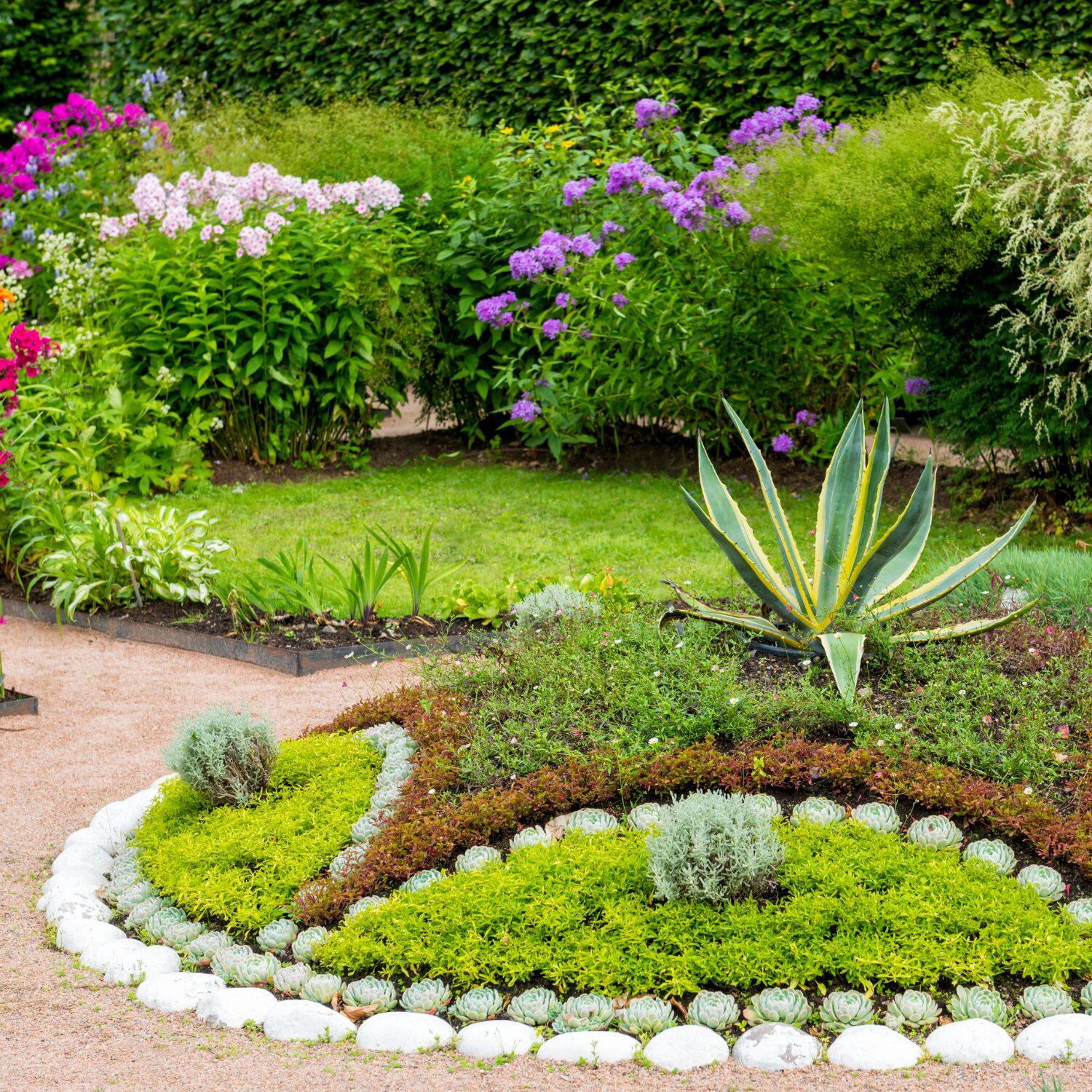 10 Best Low Maintenance Plants for Landscaping Your Home Rural Mom
